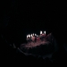 jr_tyf-077.jpg