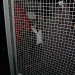 jr_brandy_bday-253.jpg