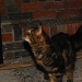 jr_hp-114.jpg