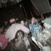 jr_junglejuiceiv-007.jpg
