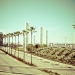jr_ladayone-004.jpg