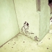 jr_ladaytwo-003.jpg