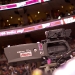 jr_lakers-010.jpg